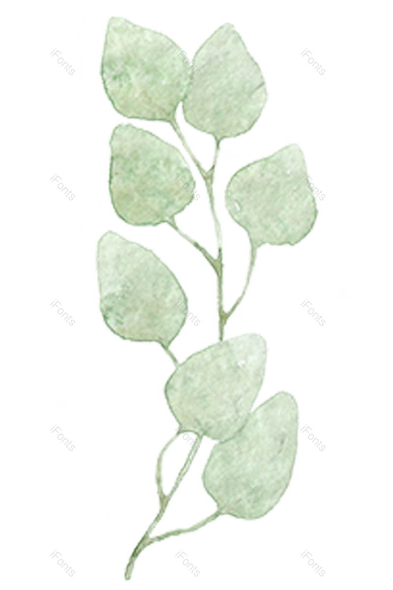 绿叶图片,花草元素,树叶PNG,植物花卉免抠素材